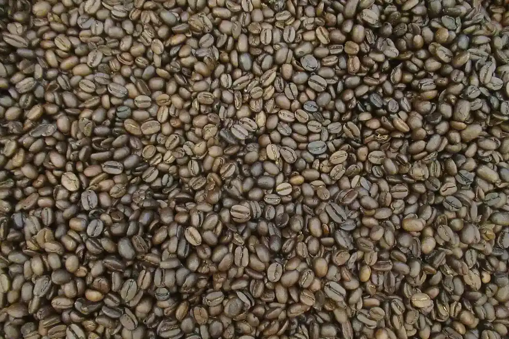 Granos de café tostados