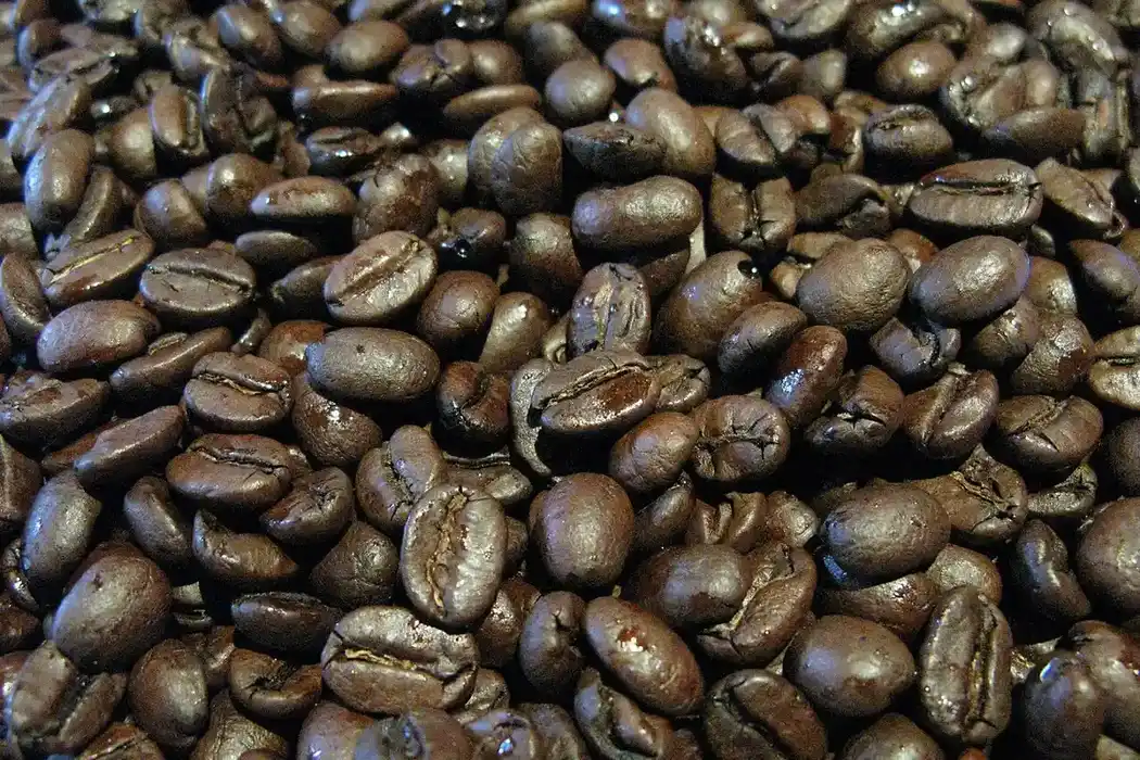 Granos de café tostados