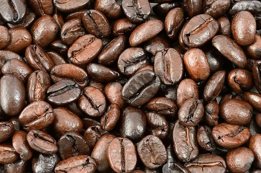 Granos de café tostados