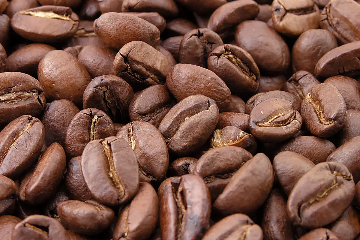 Granos de café tostados