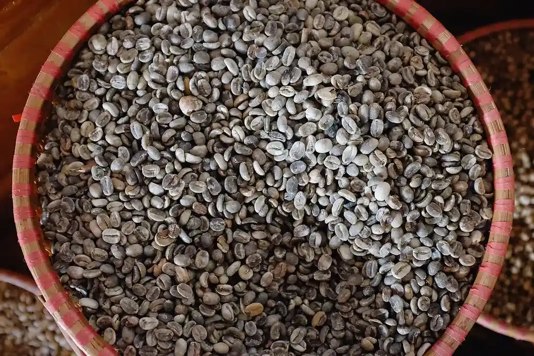 Granos de café tostados