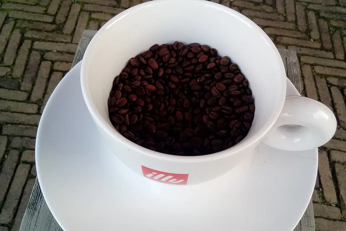 Taza llena de granos de café