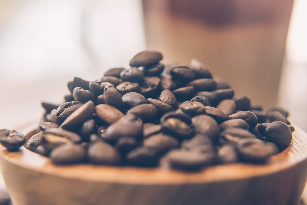 Granos de café tostados