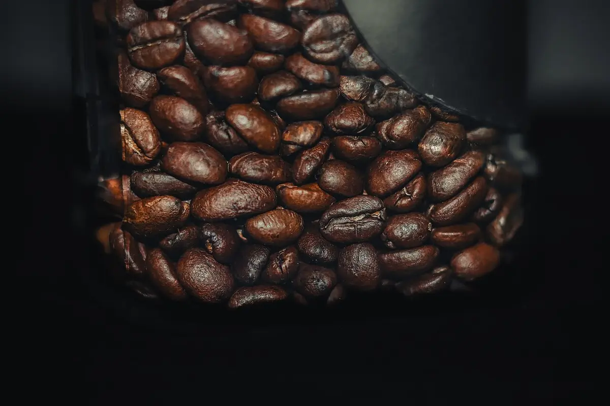 Granos de café tostados