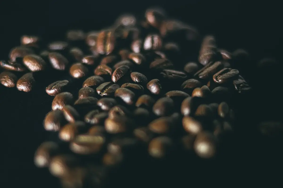 Granos de café tostados