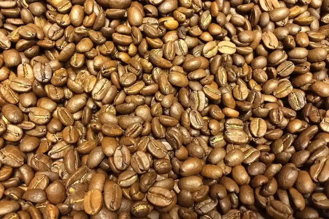Granos de café tostados