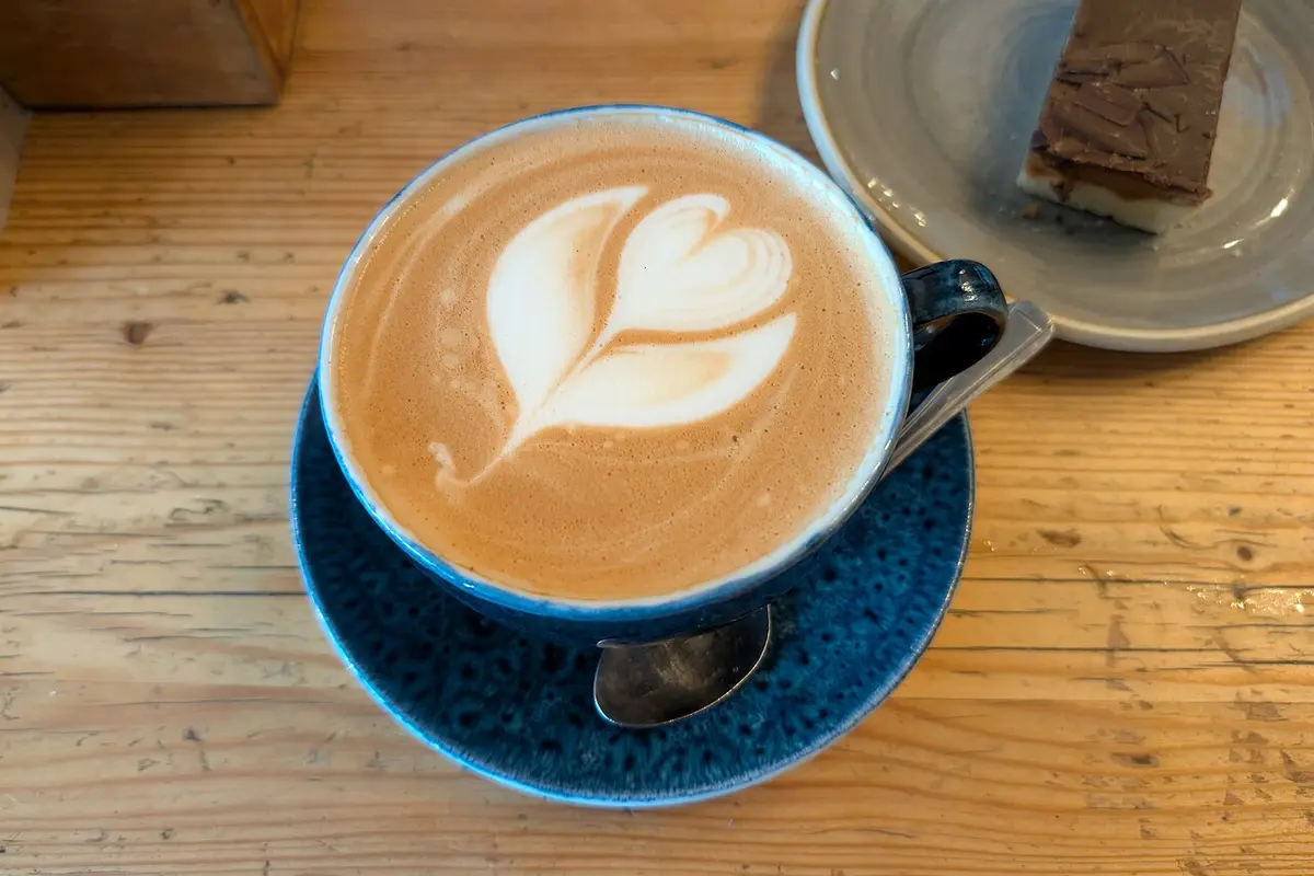 Granos de café para descafeinado